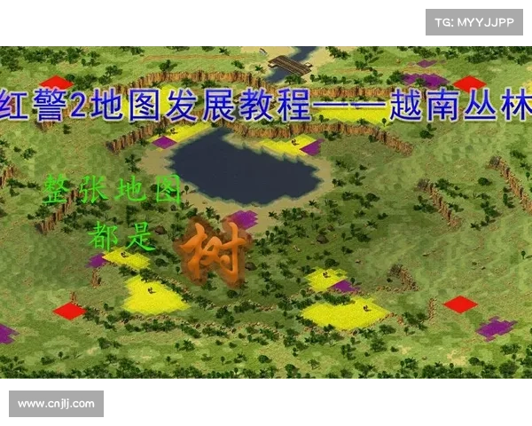 红警2:揭秘随机地图生成秘籍 红警2:揭秘随机地图生成秘籍